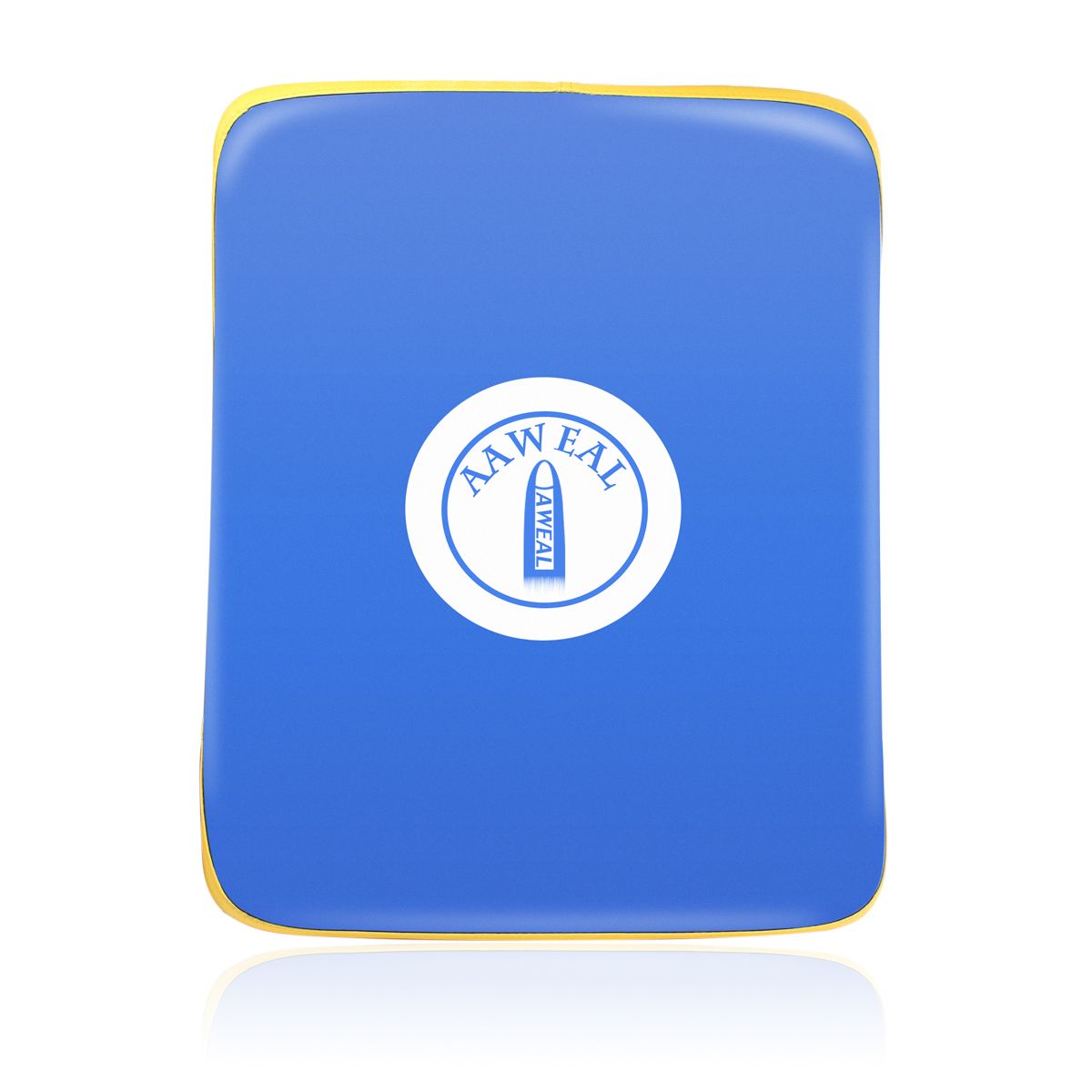 Boxing & MMA Training