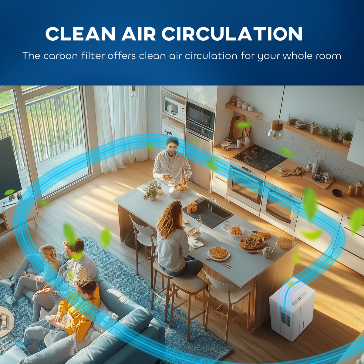 Dehumidifier with Filter, Auto Defrost, for Home Laundry Drying 30L
