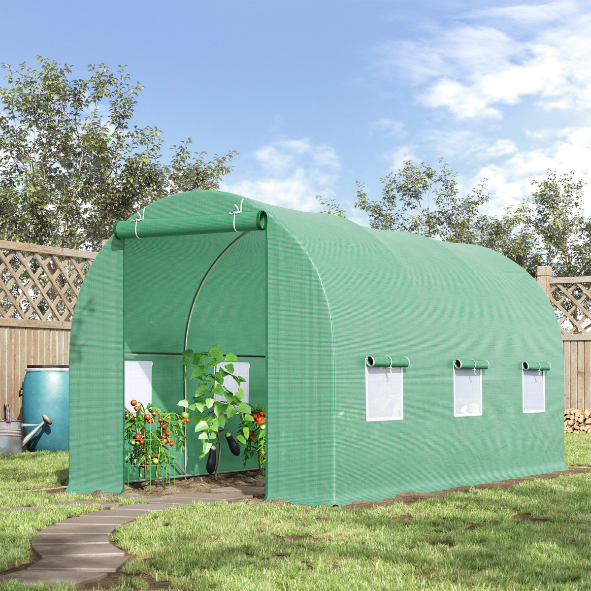 Walk-in Tunnel Greenhouse