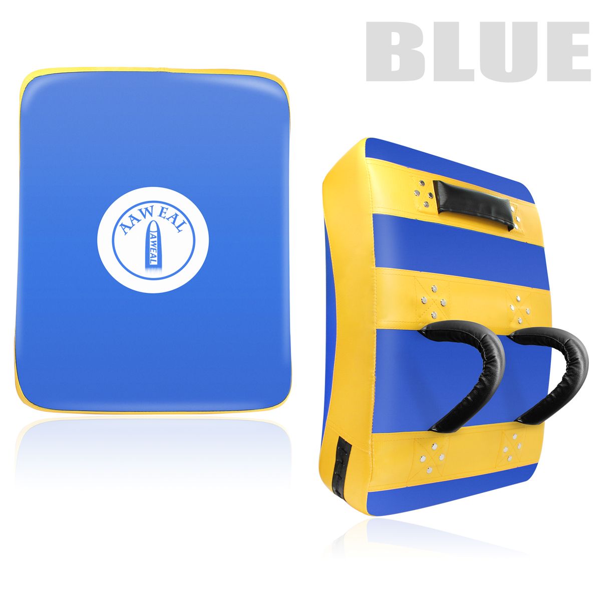 Boxing & MMA Training