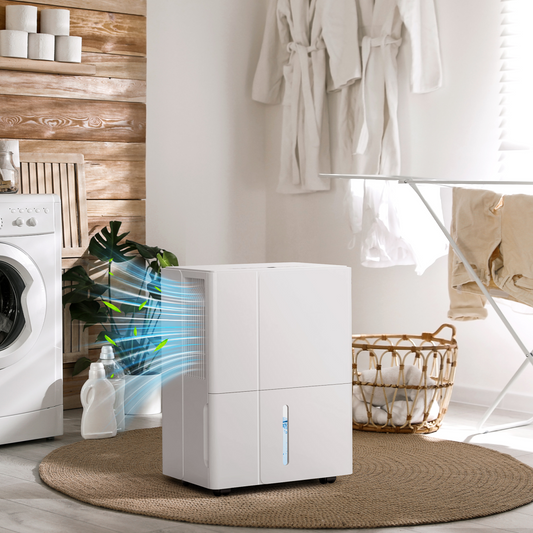 Dehumidifier with Filter, Auto Defrost, for Home Laundry Drying 30L
