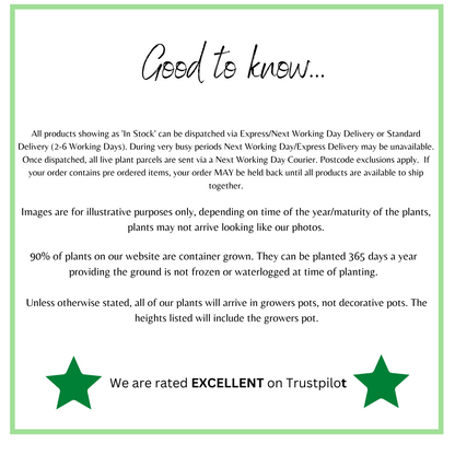 WeareratedEXCELLENTonTrustpilot_4_7222c422-4b83-4c01-812a-ef5ae214328a.png
