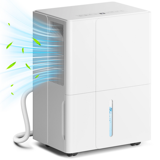 Dehumidifier with Filter, Auto Defrost, for Home Laundry Drying 30L
